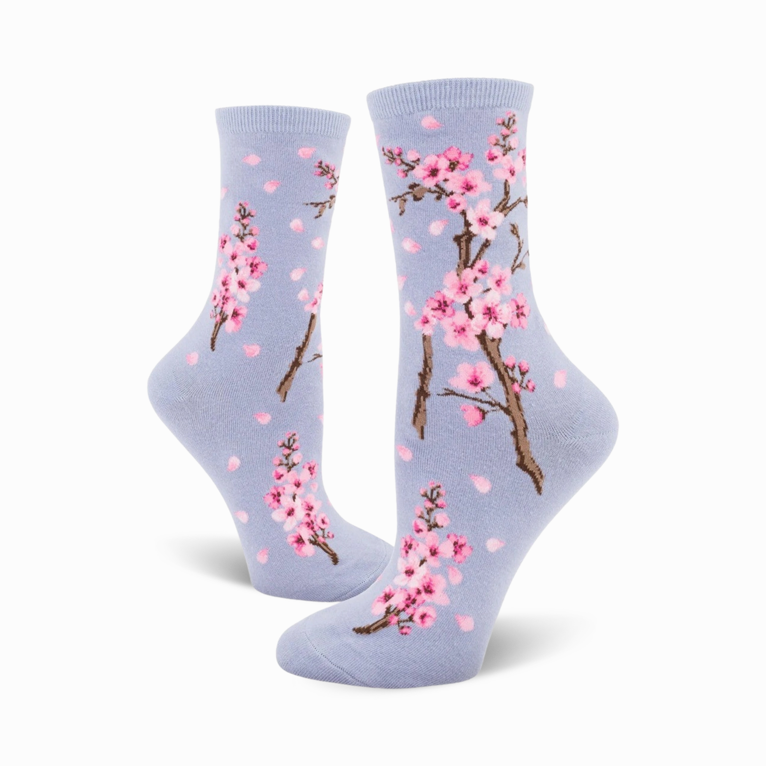 Cherry Blossom