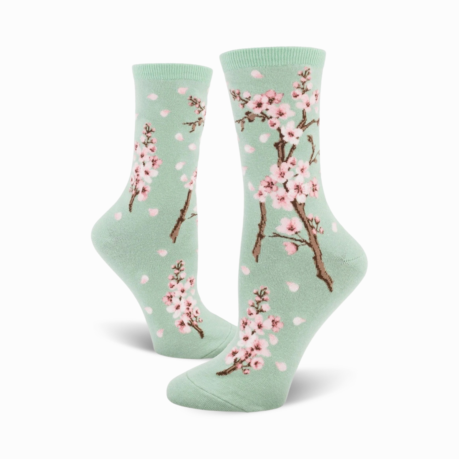 Cherry Blossom