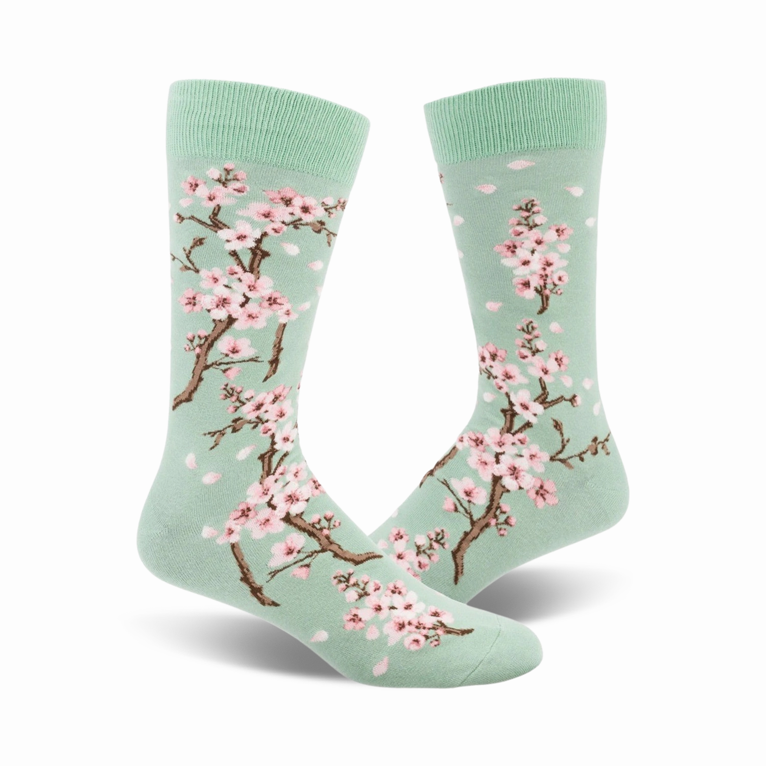 Cherry Blossom