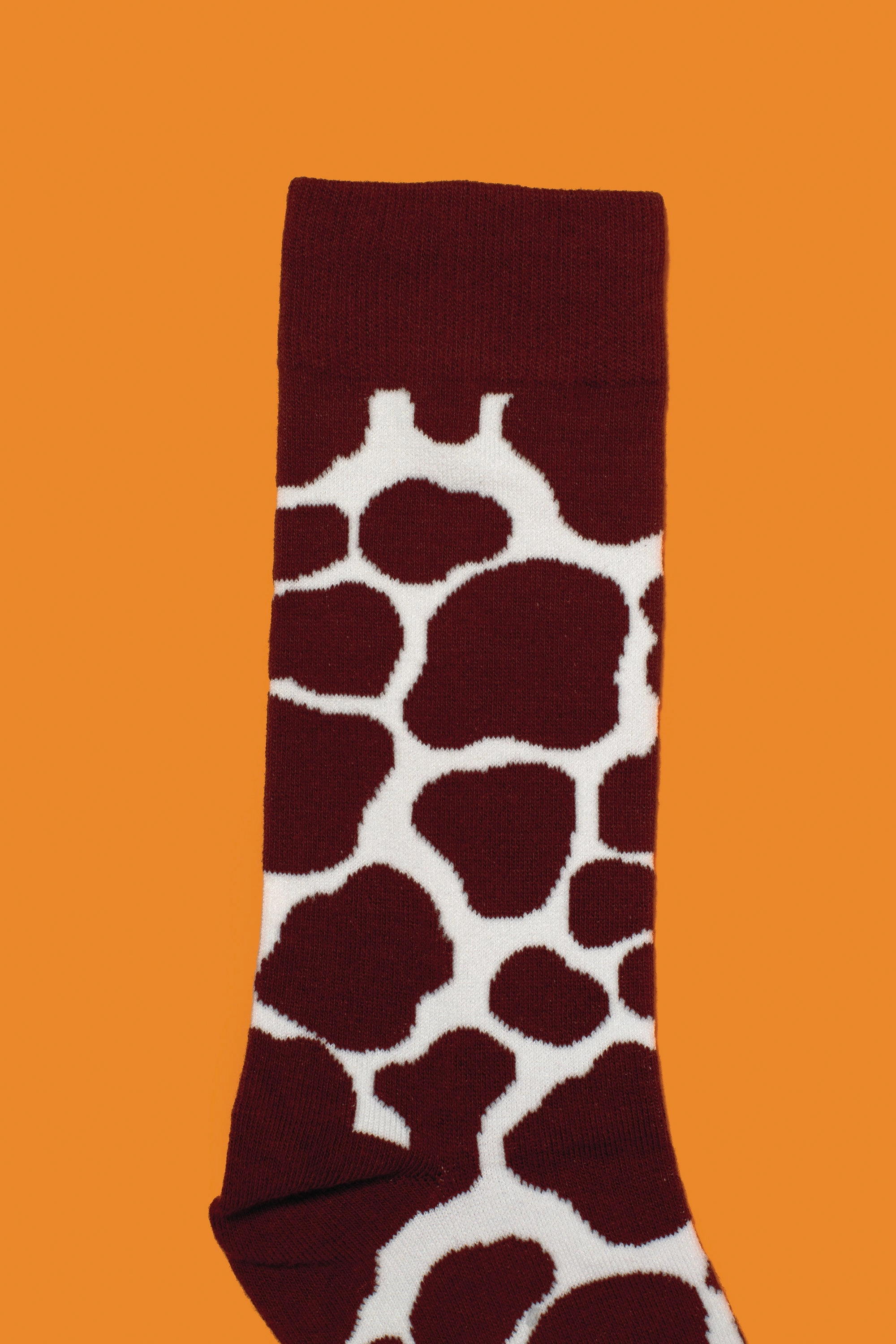 Creamy Chocolate Milk Socks