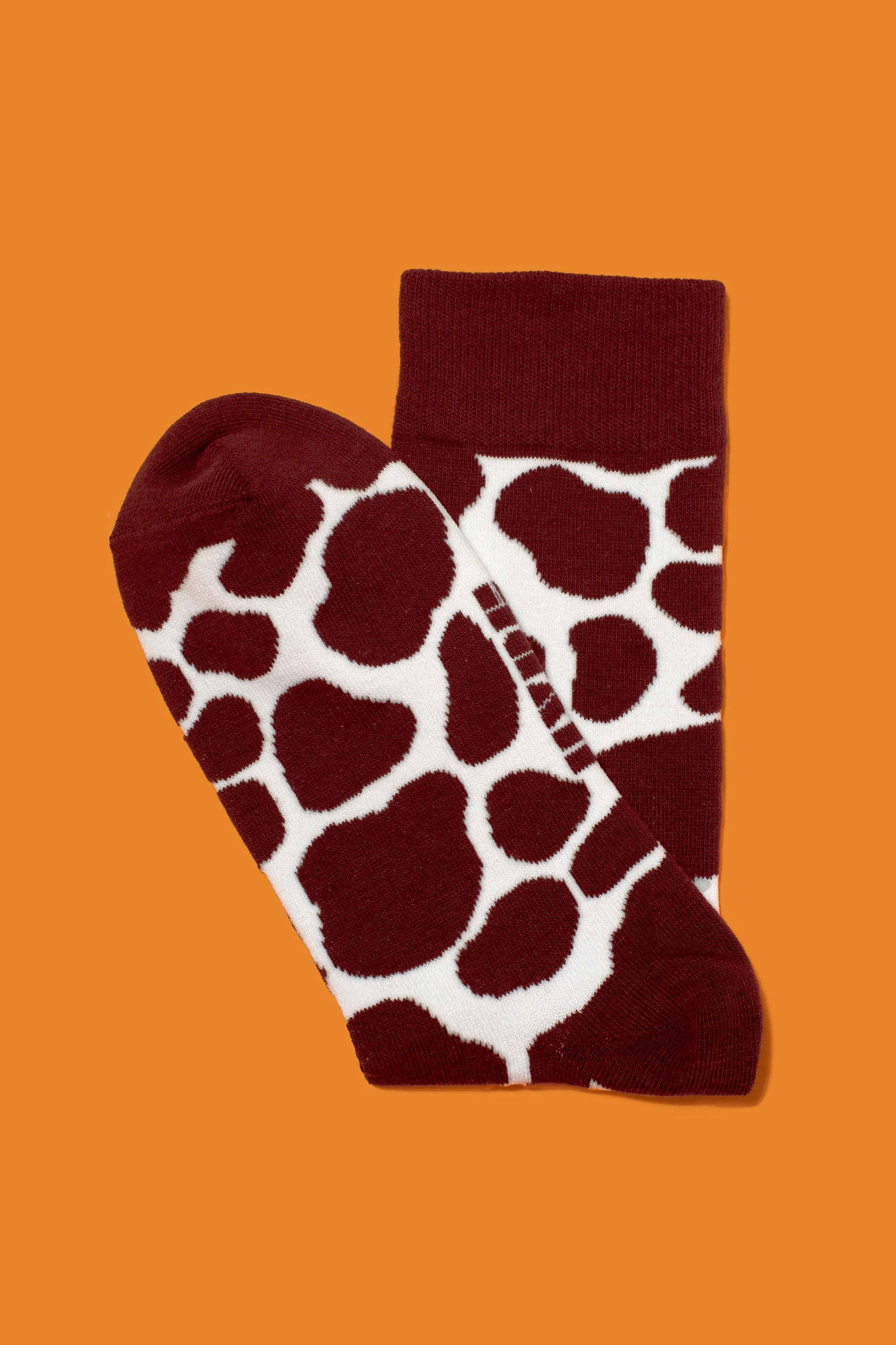 Creamy Chocolate Milk Socks