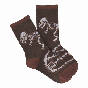 Dino Bones