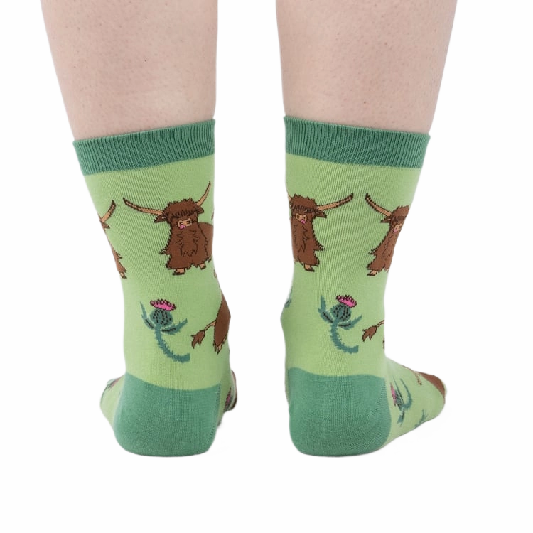 Hardy Highland Cows