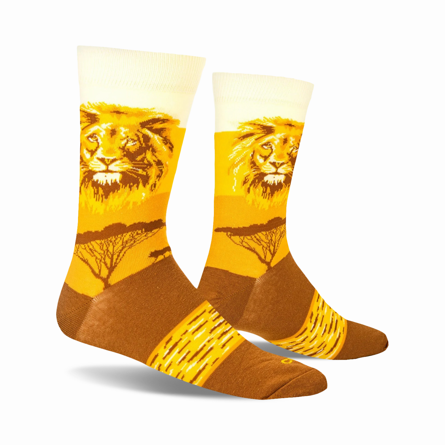 Lion Safari