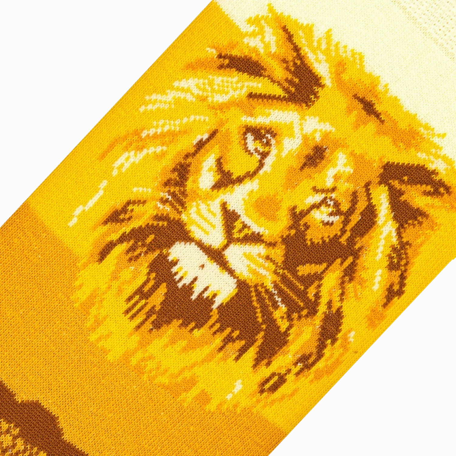 Lion Safari