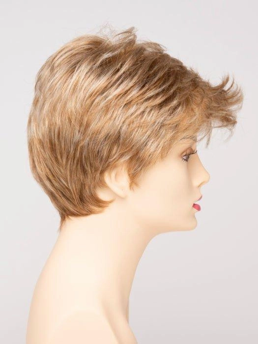Raven | Synthetic Lace Front Wig (Basic Cap) | CLOSEOUT