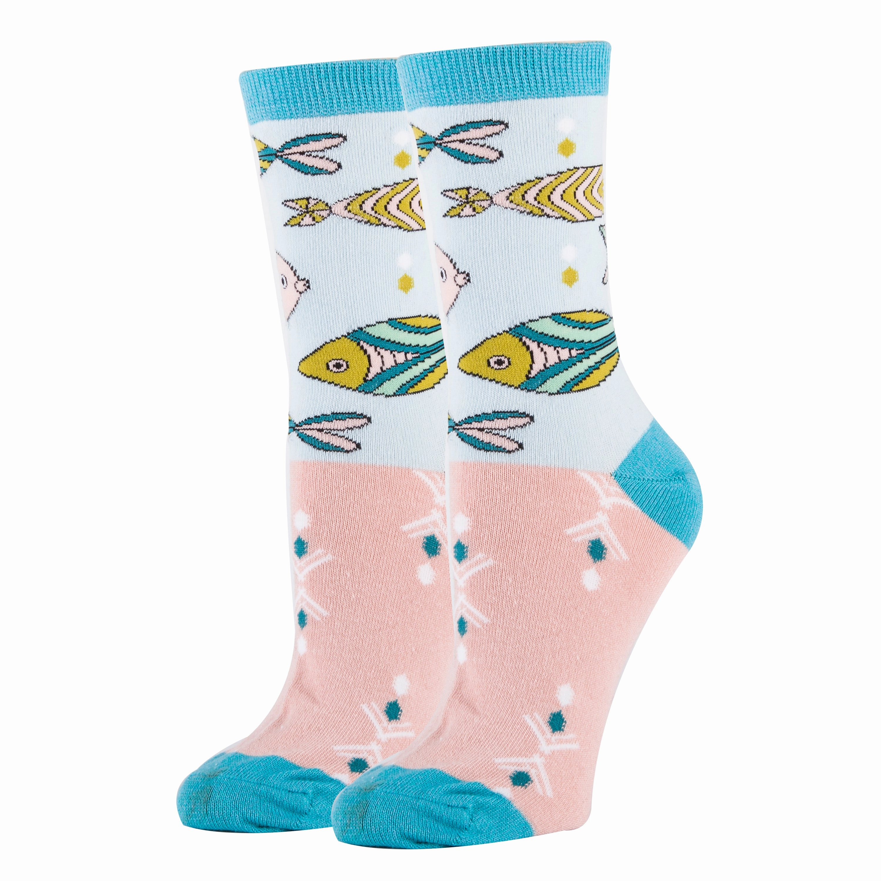 School of Fish